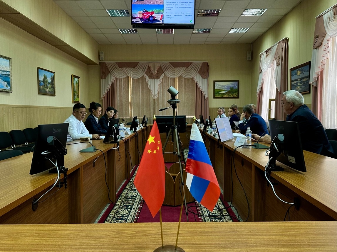 Международное сотрудничество фото