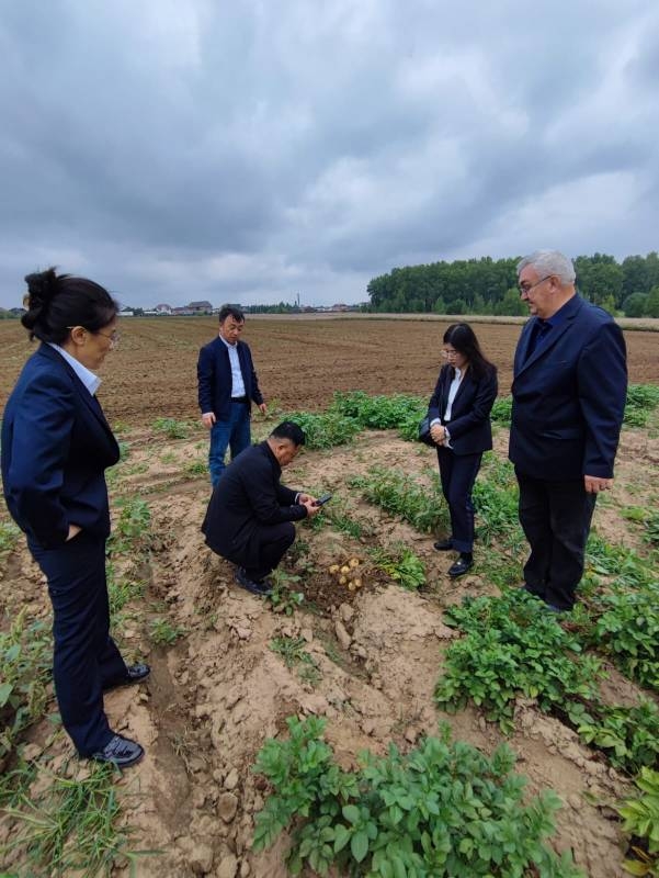 Международное сотрудничество фото
