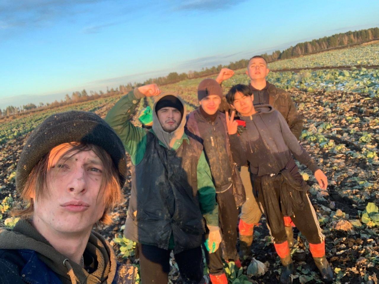 Студенты Иркутского ГАУ приняли активное участие в уборке капусты в СХАО «Белореченское» фото