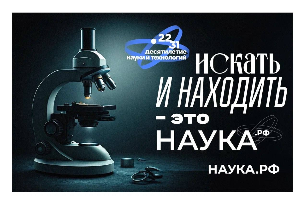 Студенты Иркутского ГАУ изучили геометрию Лобачевского на научном семинаре кружка «М-Insight» фото