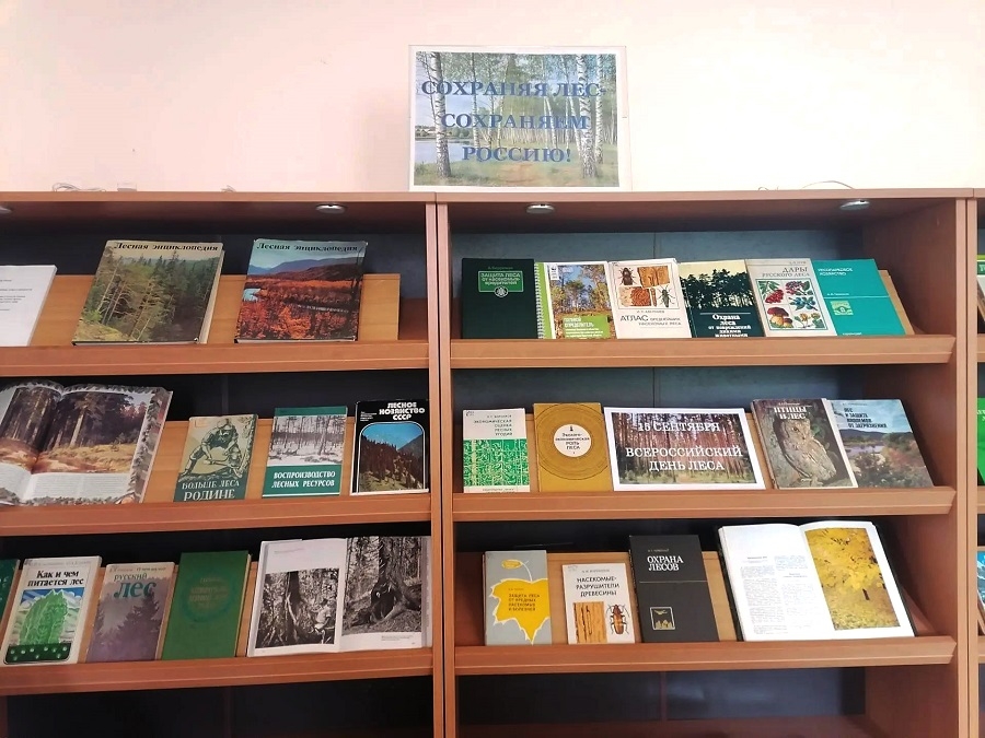 Книжная выставка «Сохраняя лес — сохраняем Россию!» фото